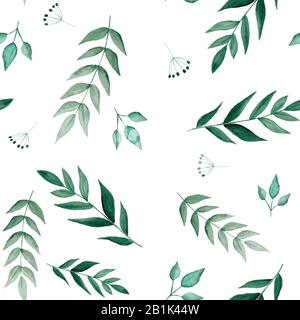 Motif transparent vert aquarelle feuilles sur fond blanc Banque D'Images