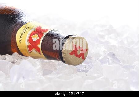 Irvine, CA - 14 JUIN 2017 : DOS Equis Blanca sur glace. Une bouteille unique de bière de blé de la brasserie Cuauhtemoc-Moctezuma à Monterrey, au Mexique Banque D'Images