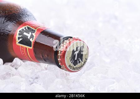 Irvine, CA - 14 JUIN 2015 : bouteille de bière Tecate. Une bouteille unique de Tecate Cerveza, un lager pâle populaire nommé d'après la ville de Tecate, Baja California Banque D'Images