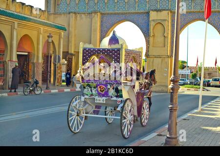 Meknes, Maroc - 19 novembre 2014 : des personnes non identifiées et des entraîneurs tirés de chevaux de mariage à la porte Bab Moulay Ismail Banque D'Images