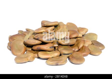 Pieu Des haricots Larges isolés sur fond blanc. Également appelé Fava ou Windsor Bean. Haricots énormes et substantiels à texture crémeuse; Banque D'Images