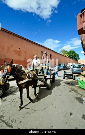 Marrakech, Maroc - 22 novembre 2014 : personnes non identifiées sur chariot âne, mode de transport habituel Banque D'Images