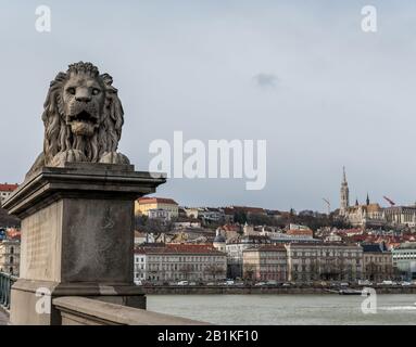 Statue du Lion sur le pont de la chaîne à Budapest avec Bastion des pêcheurs en arrière-plan Banque D'Images