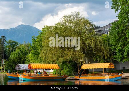 Bled, Slovénie – 5 Juillet 2019. La rive du lac Bled en Slovénie, avec des bateaux en bois slovène pletna et des gens. Banque D'Images