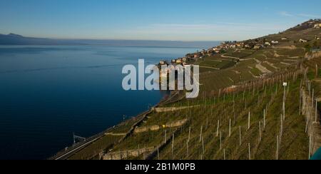 Magnifique lac de Genève près de Saint Saphorin en Suisse Banque D'Images