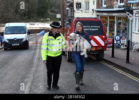 Ironbridge 26 février 2020 Ce n'était pas seulement des gens qui avaient besoin d'une main d'aide lorsque les barrières d'inondation de la rivière Severn ont été compromises. Harry le chien était bloqué chez lui alors que son propriétaire était en visite avec des parents et comme elle ne pouvait pas retourner à temps pour l'évacuer, elle a appelé Telford & Wrekin Council. Alors Harry est maintenant dans des mains sûres avec le conseiller Carolyn Healy jusqu'à ce que son propriétaire rentre à la maison. Crédit: David Bagnall/Alay Live News Banque D'Images