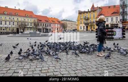 Gniezno / Pologne - Doves sur le marché sqaure, vieille ville. Banque D'Images