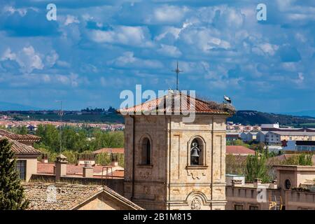 Cigognes nichant au sommet du clocher de l'église de Carmen de Abajo construit au XVe siècle dans la ville de Salamanque en Espagne Banque D'Images