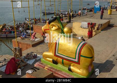 Statue de la vache sacrée, statue emblématique de Nandi à Gaay Ghat à Viranasi. Inde Banque D'Images