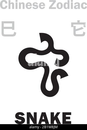 Astrologie Alphabet: Serpent [它] signe du zodiaque chinois. Caractère chinois, signe hiéroglyphique (symbole). Illustration de Vecteur