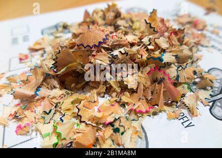 Un grand chien, un tas ou une pile de pointages de crayons récemment aiguisés, qui ont été jetés. La poussière de bois peut provoquer des problèmes médicaux. (114) Banque D'Images