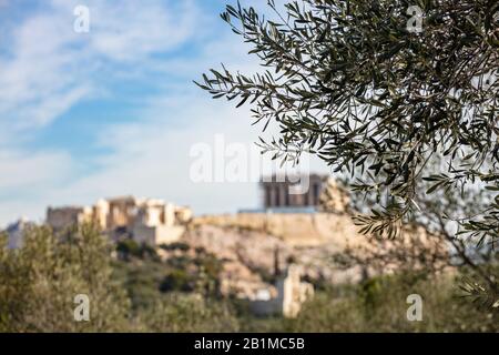 Athènes, Grèce. Acropole et temple du Parthénon. Vue brouillée de la Grèce antique reste vue de la colline de Philopappos. Accent sélectif sur le brunc d'olivier Banque D'Images