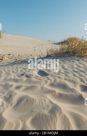 Vagues dans les dunes de sable l'après-midi, île de Jekyll, Géorgie. Banque D'Images