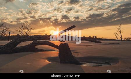 Soleil flambé à travers le bois mort avec un incroyable coucher de soleil orange sur la plage de bois dérivant, île Jekyll, Géorgie. Banque D'Images