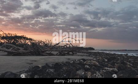 Côte rocheuse de Géorgie avec un coucher de soleil coloré spectaculaire sur la plage de bois dérivant, île de Jekyll. Banque D'Images