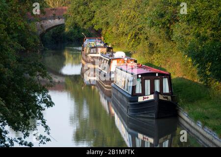 Canaux Bateaux amarrés le long du canal d'Oxford, Napton sur la colline, près de Rugby, Warwickshire, Angleterre Banque D'Images