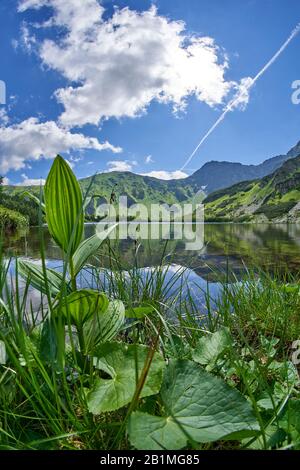 Lac Rohacske Plesa, Montagnes West High Tatras, Slovaquie En Été Banque D'Images