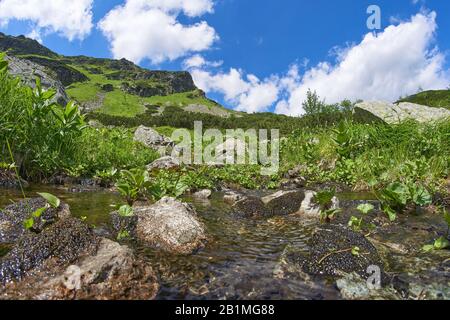 Montagnes West High Tatras, Slovaquie en été avec banderole Banque D'Images