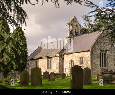 L'église de Saint Everilda à Popleton près de York. Les pierres de tête sont au premier plan et elles sont encadrées par des arbres de conférer. Banque D'Images