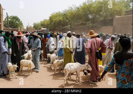 Mali, Djenne, jour du marché, Fulani ou Peulh homme avec le chapeau traditionnel Tengaade /Markttag, Fulbe oder Fulani Mann mit Hut Banque D'Images