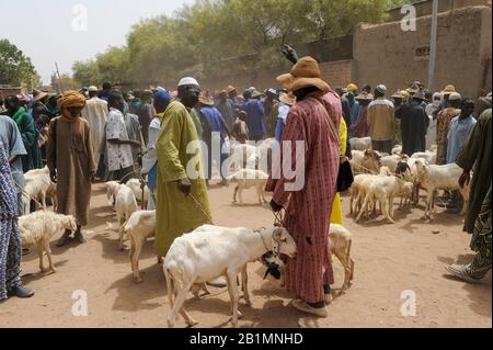 Mali, Djenne, jour du marché, Fulani ou Peulh homme avec le chapeau traditionnel Tengaade /Markttag, Fulbe oder Fulani Mann mit Hut Banque D'Images