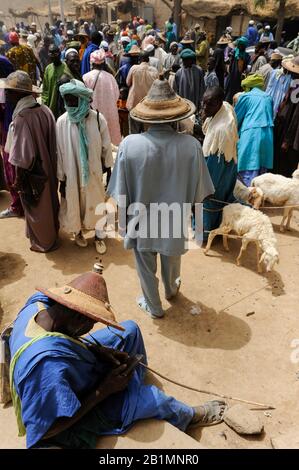 Mali, Djenne, jour du marché, Fulani ou Peulh homme avec le chapeau traditionnel Tengaade /Markttag, Fulbe oder Fulani Mann mit Hut Banque D'Images