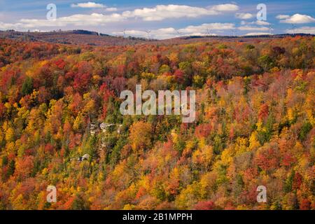 Vue d'automne de Blackwater Canyon près de Davis West Virginia Banque D'Images