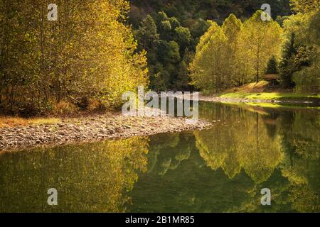 Vue d'automne du pêcheur à la ligne à North Fork South Branch Potomac River, Seneca Rocks, comté de Pendleton, Virginie occidentale Banque D'Images