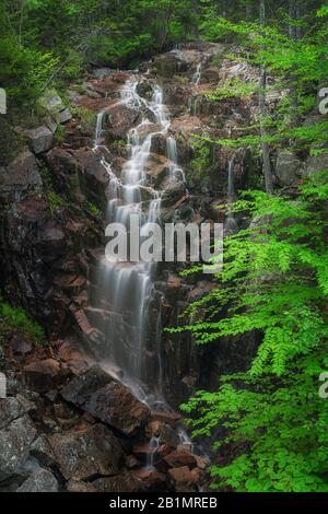 Vue printanière des chutes Hadlock dans l'Acadie National Oark in Maine Banque D'Images