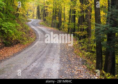 La route serpente à travers la forêt d'automne près de Laneville, comté de Tucker, Virginie-Occidentale Banque D'Images