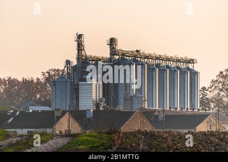 Installation agricole de silos d'argent utilisés pour sécher les graines et le maïs. L'élévateur de grain utilisé pour le stockage est éclairé par le soleil de réglage chaud. Banque D'Images