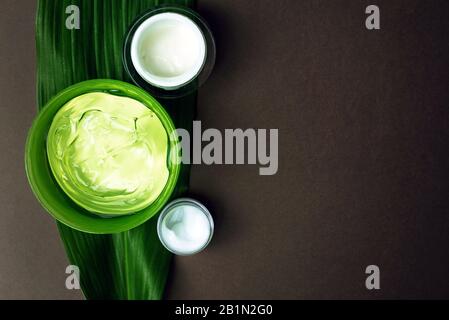 Pots de crème blanche hydratante et gel d'aloès vert sur une feuille de palmier. Différents hydratants pour différentes zones du visage sur un fond brun avec Banque D'Images