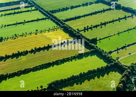 Paysage de terrain avec bords de rive, vue aérienne, Allemagne, Schleswig-Holstein, Mitte auf der Geest Banque D'Images