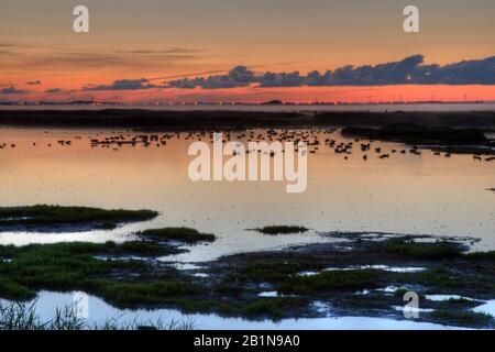 Lever du soleil à la réserve naturelle de Putten, Pays-Bas, Nord des Pays-Bas, Camperduin Banque D'Images