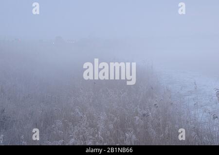 Misty Sunrise à Amstelmeer en hiver, Pays-Bas, Amstelmeer Banque D'Images