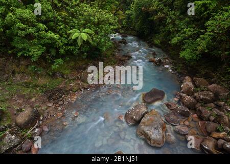 Rivière Celeste Au Costa Rica Parc National Du Volcan Tenorio Banque D'Images