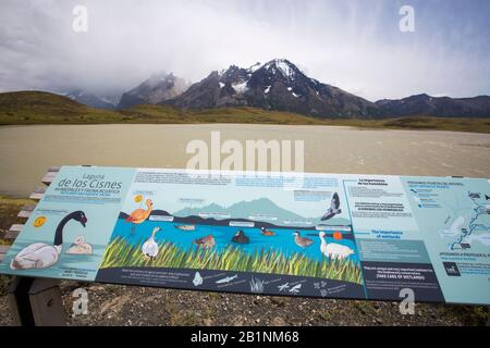 Laguna de los Cisnes dans le parc national Torres del Paine, Patagonia, Chili. Banque D'Images