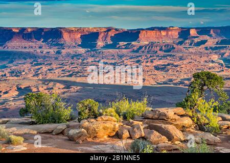 Vue générale sur le parc national de Canyonlands au lever du soleil, depuis Needles surplombent le monument national Bears Ears, Utah, États-Unis Banque D'Images