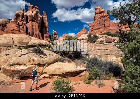 Pointes de roche, randonneur sur Devils Kitchen Loop Trail, section Needles au parc national de Canyonlands, Utah, États-Unis Banque D'Images