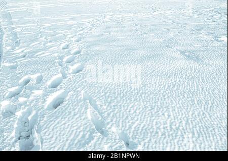 traces profondes dans une neige pure et blanche et moelleuse, couverture de neige inhabituelle de couleur blanche composée de neige moelleuse et de glace cristallisée sur le dessus Banque D'Images