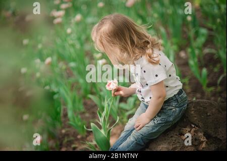 fille avec cheveux longs blond curly dans un jean et une chemise légère se trouve avec son dos dans un jardin fleuri et tient une tulipe rose dans sa main Banque D'Images