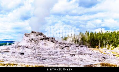 De la vapeur qui sort du Geyser du château dans le bassin du Geyser supérieur le long du sentier Continental Divide Trail dans le parc national de Yellowstone, Wyoming, États-Unis Banque D'Images