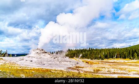 De la vapeur qui sort du Geyser du château dans le bassin du Geyser supérieur le long du sentier Continental Divide Trail dans le parc national de Yellowstone, Wyoming, États-Unis Banque D'Images