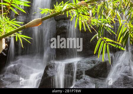 détail du bambou avec concept de spa de santé cascade Banque D'Images