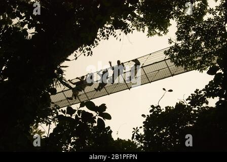 Ponts suspendus avec vue sur le volcan Arenal en arrière-plan, Costa Rica Banque D'Images