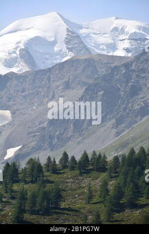 Le Piz Palu vue du col de Bernina dans le sud de la Suisse au-dessus de St Moritz. Banque D'Images