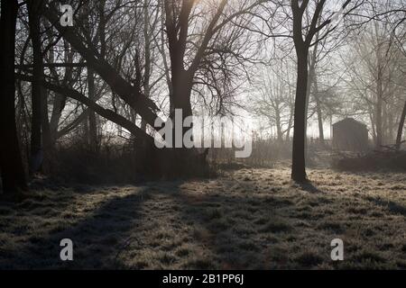 Un matin d'hiver glacial dans la campagne du suffolk Banque D'Images