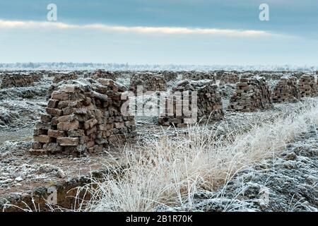 Les mottes de tourbe en hiver, Allemagne, Basse-Saxe, Goldenstedter Moor Banque D'Images