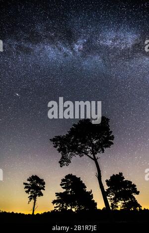 Ciel étoilé avec une voie laiteuse au-dessus de la lune, arbres en premier plan, 07.09.2016, Allemagne, Basse-Saxe, Voerden Banque D'Images