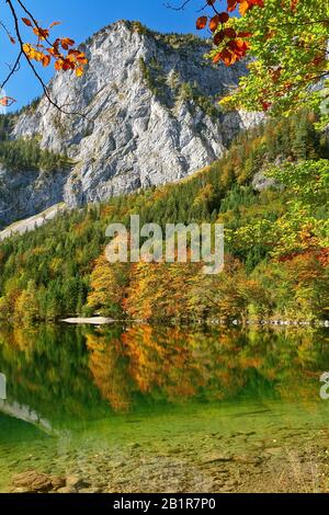 , lac de montagne Hinterer Langbahsee en automne, Autriche, Haute-Autriche, Salzkammergut Banque D'Images
